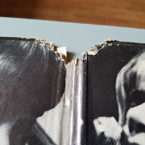 CHICAGO Double LP. Chicago Transit Authority. Columbia Records Cs-9836. - Picture 7 of 12